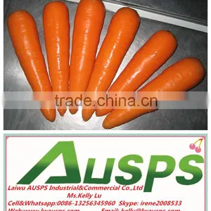 China 2014 Crop Fresh Carrot thumbnail-1