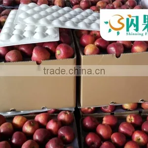 HUANIU APPLES IN CHINA thumbnail-2