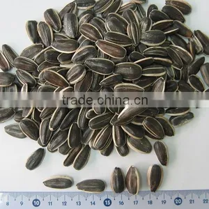 Black Sunflower Seeds in Shell thumbnail-1