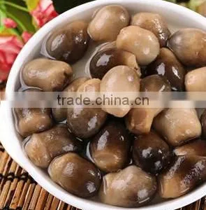 Healthy High Quality Canned Straw Mushroom With Factory Price thumbnail-5
