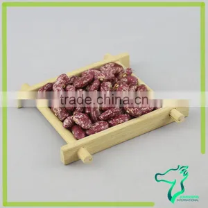 Red Speckled Kidney Beans thumbnail-2