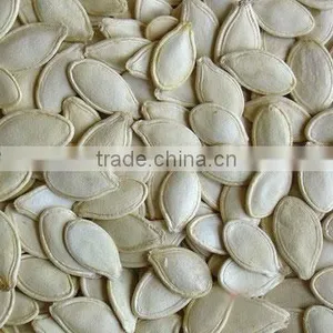 Shine Skin Pumpkin Seeds thumbnail-1