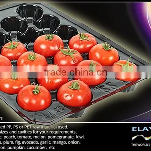 Fruit Tray thumbnail-2
