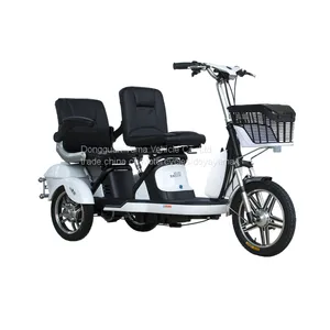 Electric Bike Electric Tricycle Two Seats With Lead Acid Battery CE thumbnail-2