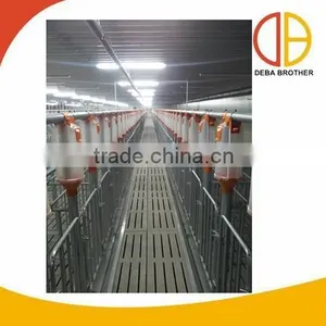 Pig Farm Use Auto Feeding System Livestock Automatic Feeder thumbnail-1