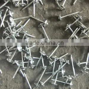 Quality Galvanized Umbrella Head Roofing Nails thumbnail-1