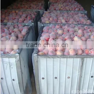 Fruit Storage Cage/Cold Storage Box thumbnail-1