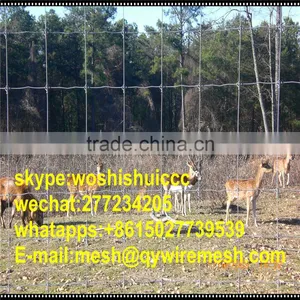 Hot Dip Galvanized Sheep and Goat Farming Fence thumbnail-1