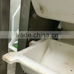 Belt Conveyor for Packaging Machinery thumbnail-3