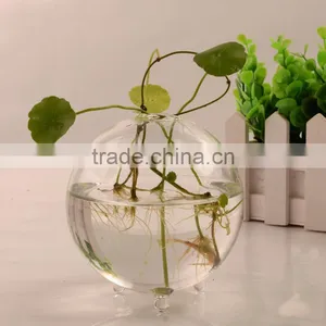 Ball Shaped Hydroponics Container Round Transparent Glass Vase for Plant thumbnail-2