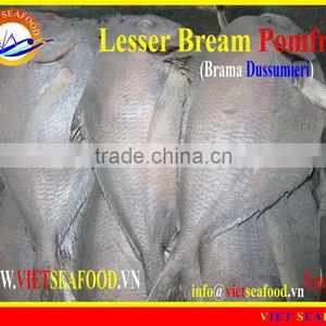 FROZEN LESSER BREAM POMFRET W/R thumbnail-1