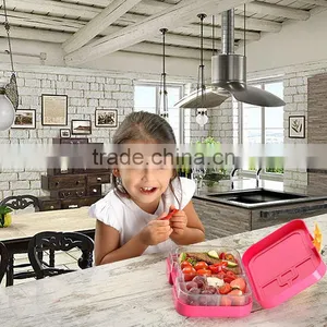 China Cheap Custom Hot Case Plastic Compartment School Lunch Box 2016 thumbnail-5