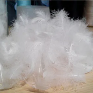 Anhui Wonder Down&feahter Product Co.,ltd. company overview - view 4 thumbnail