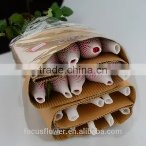 Natural Pink Rose Flowers Fresh Cut Flowers Big Pink Rose for Wedding Decoration thumbnail-1