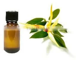Ylang Ylang Oil thumbnail-1