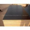 18mm Black Film Faced Plywood Price thumbnail-1