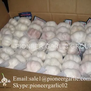 New Crop Natural Fresh Jinxiang Shandong Normal White Garlic thumbnail-4