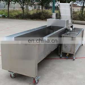 Commercial Good Quality Tomato Ozone Vegetable Washing Machine Pepper Washer thumbnail-7