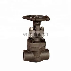 Forged Steel A105 Pn16 Globe Valve Dn20 thumbnail-1