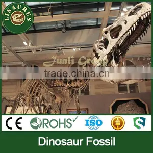 JLDF-0159 Film Prop Dinosaur Fossils for Movies thumbnail-1