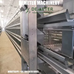 Poultry Farming (Layer Chicken Farming With Cage and Nipple Drinking System ) thumbnail-4