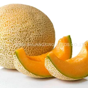Extremely Early Mature High Setting Fruits Hybrid Round Melon Seeds for Growing thumbnail-1