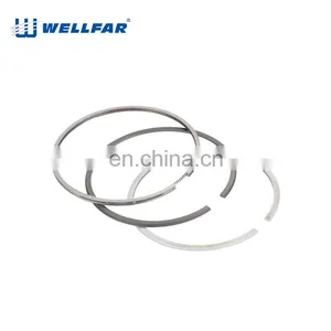 Wellfar French Car 206 Auto Parts 75mm Piston Rings For Peugeot 206 Engine thumbnail-5