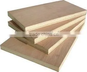 Plywood Commercial Plywood Film Faced Plywood thumbnail-2