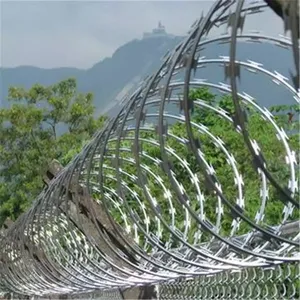 Wire Mesh / Galvanized Barbed Wire Fence / Barbed Wire thumbnail-1