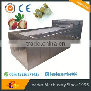 Big Capacity Lychee Juice Production Line Website:leaderservice006 thumbnail-1