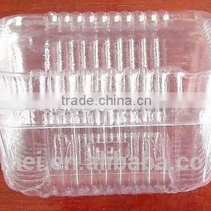 Customized PVC Blister Clear Plastic Packaging Tray Vacuum Forming thumbnail-6