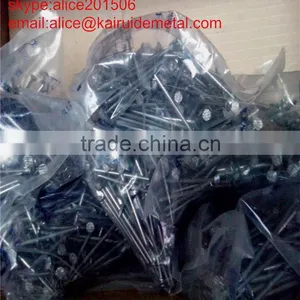 High Quality Low Price Factory Produce Common Iron Nail With Smooth Shank/common Iron Wire Nail thumbnail-5