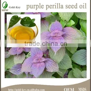 Hot Sale Health Cooking Oil High Quality Cold Pressed Perilla Seed Oil thumbnail-4
