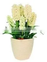 2015 Artificial Floral Art Seasons Creations With Artificial Flowers,plants and Pot thumbnail-1