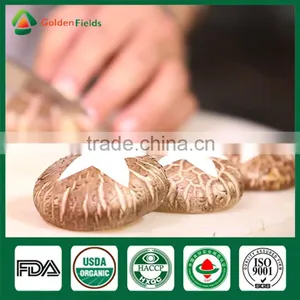 Fresh Dried Shiitake Mushroom Growing Shiitake Mushroom Log Spawn for Mushroom Farm thumbnail-6
