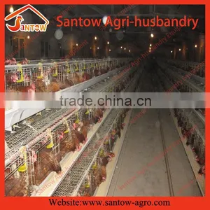 Chicken Use Welded Wire Chicken Layer Cages Automatic Broiler Feeding System thumbnail-2