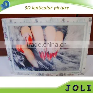 Custom Plastic 0.45mm PET 3D Printing 3D Lenticular Picture Nail thumbnail-1