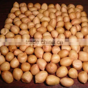 RED SKIN PEANUT KERNEL thumbnail-1