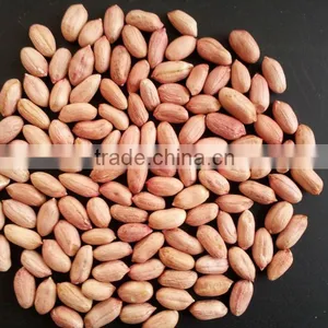 2015 Crop Peanut Kernels thumbnail-1