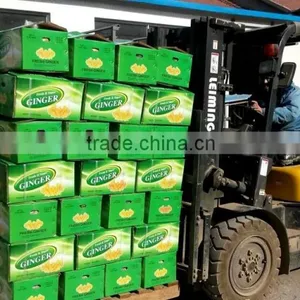 Bulk Fresh Ginger in Carton Package thumbnail-1