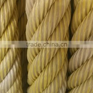 New Product UHMWPE and Polyamide Monofilament 6 Strand Winchline Rope thumbnail-2
