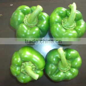 FRESH GREEN PEPPER thumbnail-1