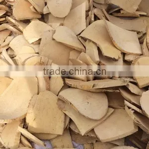 Tongkat Ali Root thumbnail-3