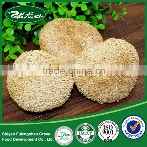 100% Natural Originic/Lion's Mane/ Hericium Erinaceus Mushroom,Monkey Head Mushroom thumbnail-3
