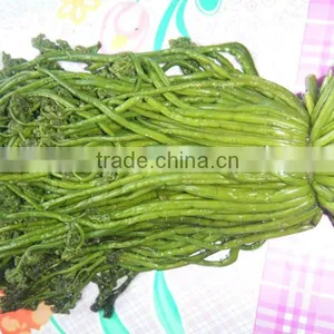 Bracken in Brine thumbnail-1