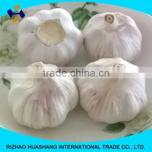 Red Fresh Garlic Size5.0cm thumbnail-1