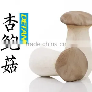 Dried Pleurotus Eryngii Mushroom Manufacturer in China thumbnail-3