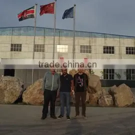 Shijiazhuang Synmec International Trading Ltd. company overview - view 3 thumbnail