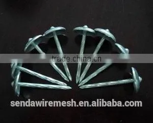 3" Umbrella Roofing Nails/construction Roofing Nails and Building Material Nails thumbnail-3