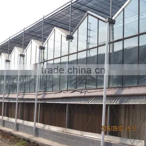 AL Frame Plastic Greenhouse With European Standart thumbnail-3